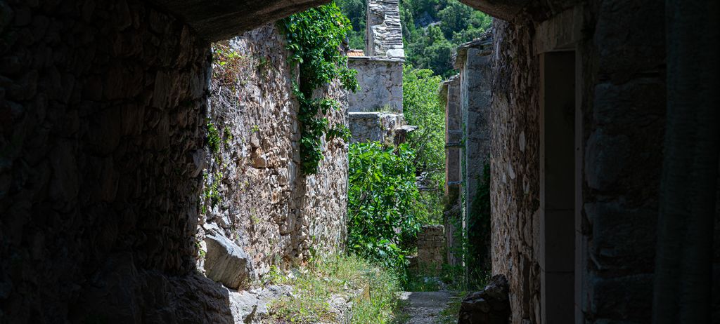 An old stone alley under an arch, overgrown with green