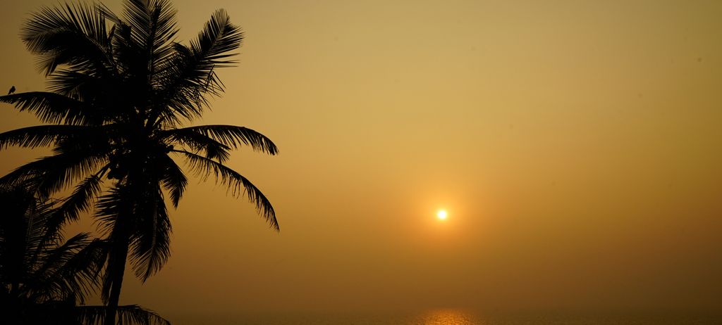 Palm silhouettes against an orange sun setting over the sea