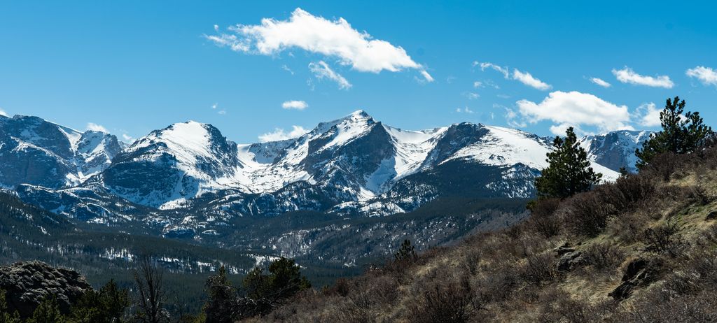 Snow-capped peaks above a forest of conifers